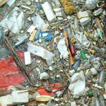 pollution4